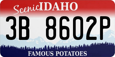 ID license plate 3B8602P