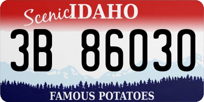 ID license plate 3B8603O