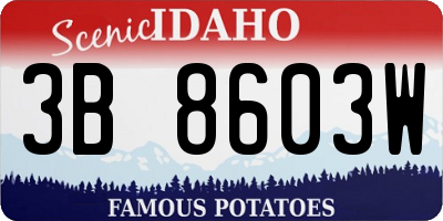 ID license plate 3B8603W