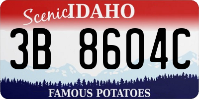 ID license plate 3B8604C