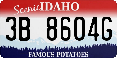 ID license plate 3B8604G