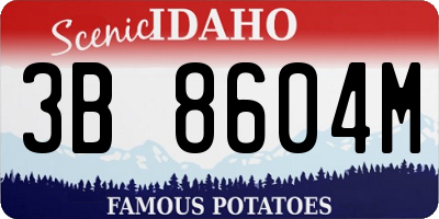 ID license plate 3B8604M