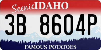 ID license plate 3B8604P
