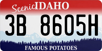 ID license plate 3B8605H