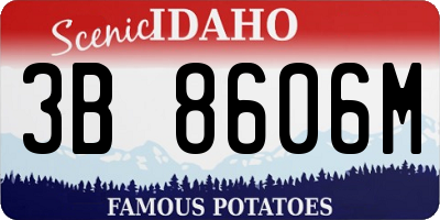 ID license plate 3B8606M