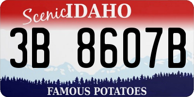 ID license plate 3B8607B