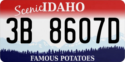 ID license plate 3B8607D
