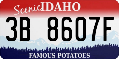 ID license plate 3B8607F