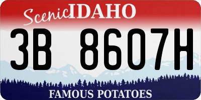 ID license plate 3B8607H
