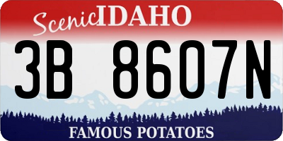 ID license plate 3B8607N