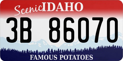 ID license plate 3B8607O