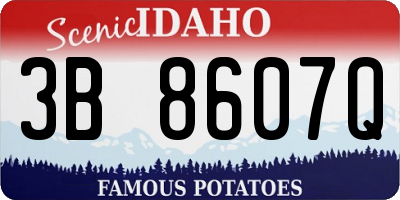 ID license plate 3B8607Q