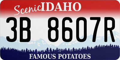 ID license plate 3B8607R