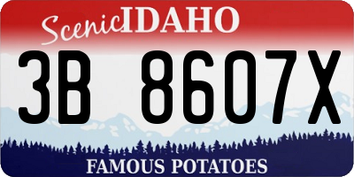 ID license plate 3B8607X
