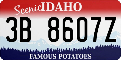 ID license plate 3B8607Z