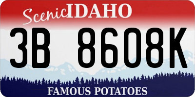 ID license plate 3B8608K