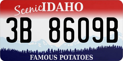 ID license plate 3B8609B