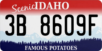 ID license plate 3B8609F