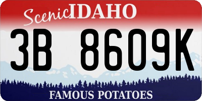 ID license plate 3B8609K