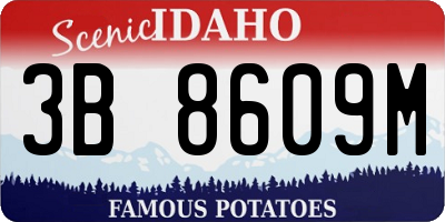 ID license plate 3B8609M