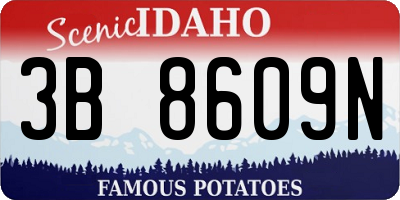 ID license plate 3B8609N