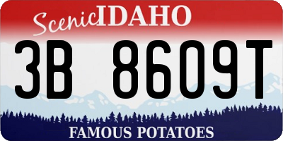 ID license plate 3B8609T