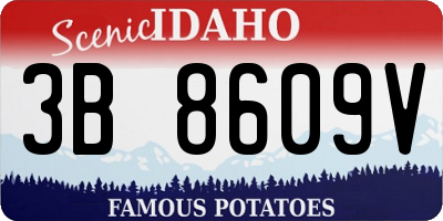 ID license plate 3B8609V