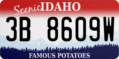 ID license plate 3B8609W