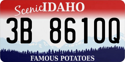 ID license plate 3B8610Q