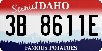 ID license plate 3B8611E