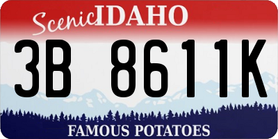 ID license plate 3B8611K