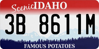 ID license plate 3B8611M