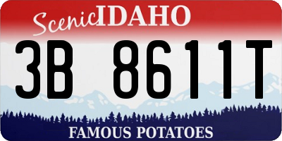 ID license plate 3B8611T