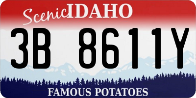 ID license plate 3B8611Y