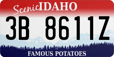 ID license plate 3B8611Z