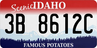 ID license plate 3B8612C