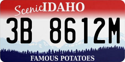 ID license plate 3B8612M