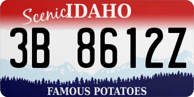 ID license plate 3B8612Z