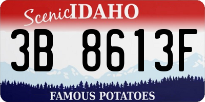 ID license plate 3B8613F