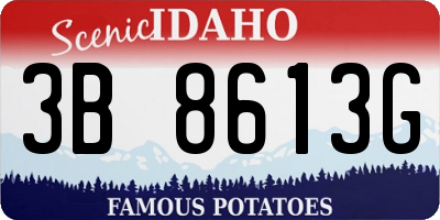 ID license plate 3B8613G