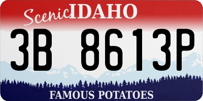 ID license plate 3B8613P