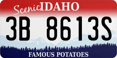 ID license plate 3B8613S