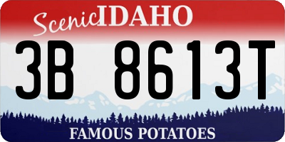 ID license plate 3B8613T
