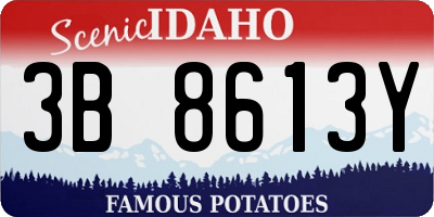 ID license plate 3B8613Y