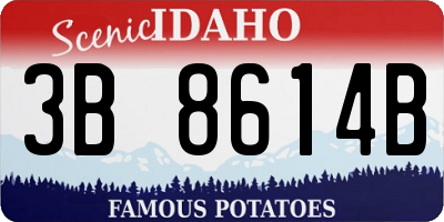 ID license plate 3B8614B
