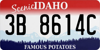 ID license plate 3B8614C