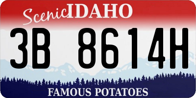 ID license plate 3B8614H