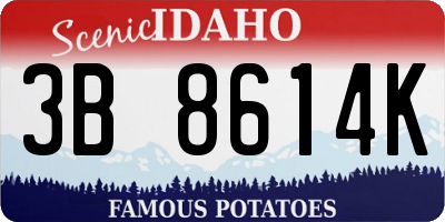 ID license plate 3B8614K