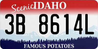 ID license plate 3B8614L