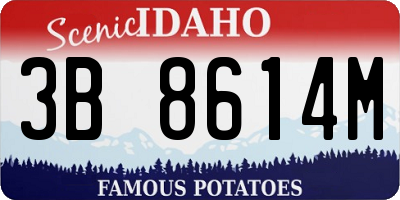 ID license plate 3B8614M